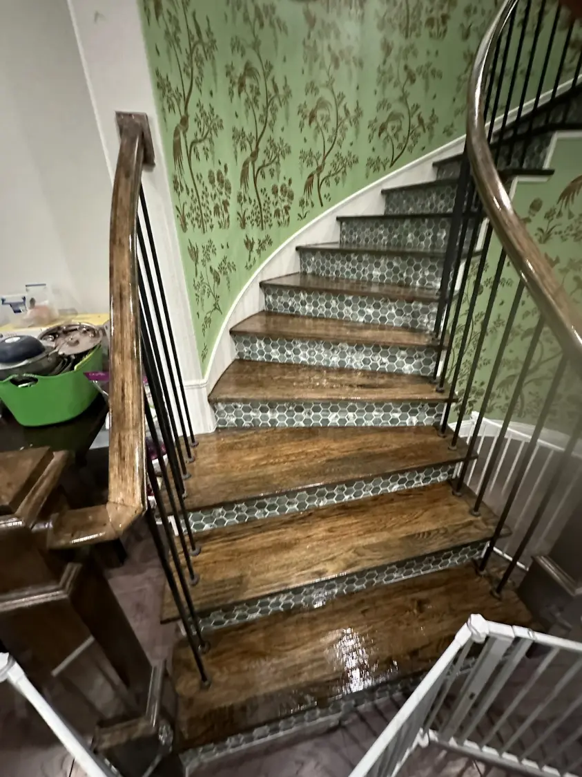 Floor Maintenance